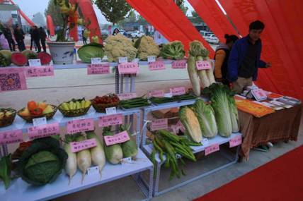 第十四届中国温室大会陈砦花卉基地成果展示区（7）