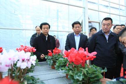 郑州市副市长杨福平参观中国温室大会陈砦花卉市场内展示基地（2-1）