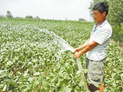 周口村民连夜守在地头,排队等着浇地