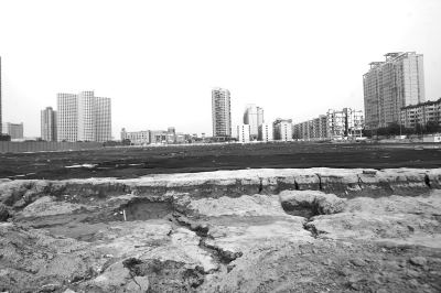 丰产路与东明路交叉口的工地上，大面积裸露的土地被盖上防尘网。