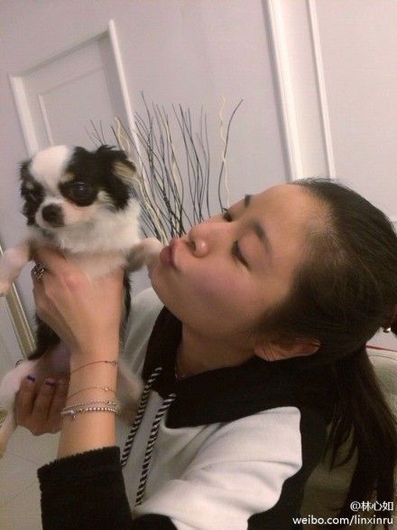 林心如嘟嘴吻小狗