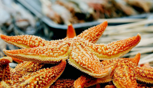 全国十大人气小吃街 游客满嘴食物仍不停