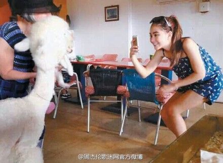 昆凌兴奋拍羊驼